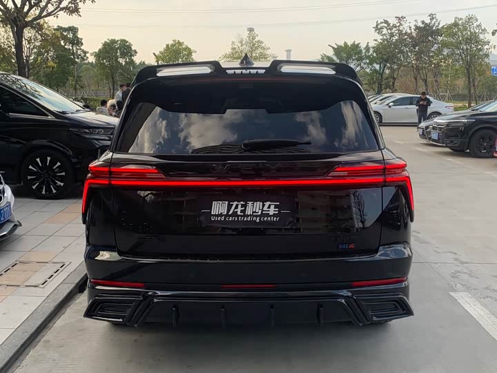 Фото 8 - Wey Lanshan