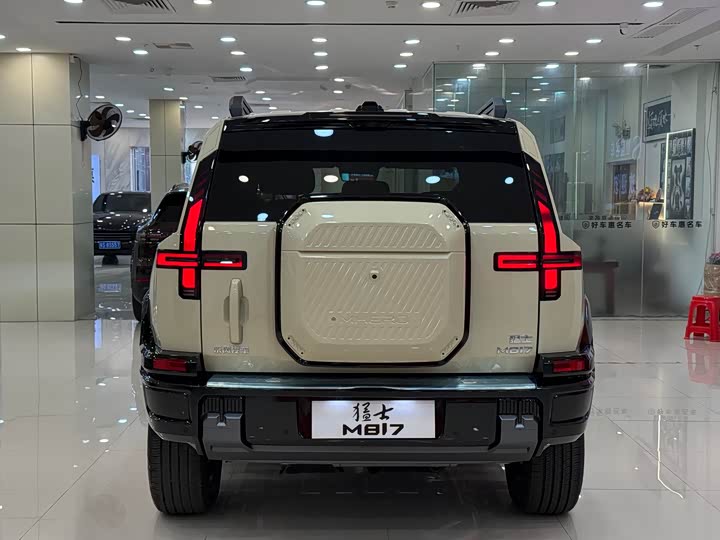 Фото 8 - Dongfeng Mengshi M18-3