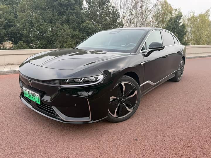 Фото 1 - Voyah Passion