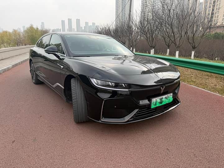 Фото 3 - Voyah Passion