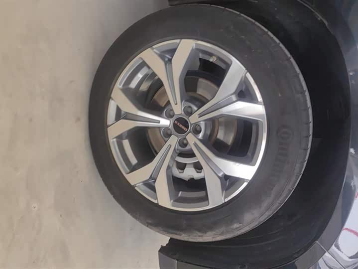 Фото 6 - Exeed VX