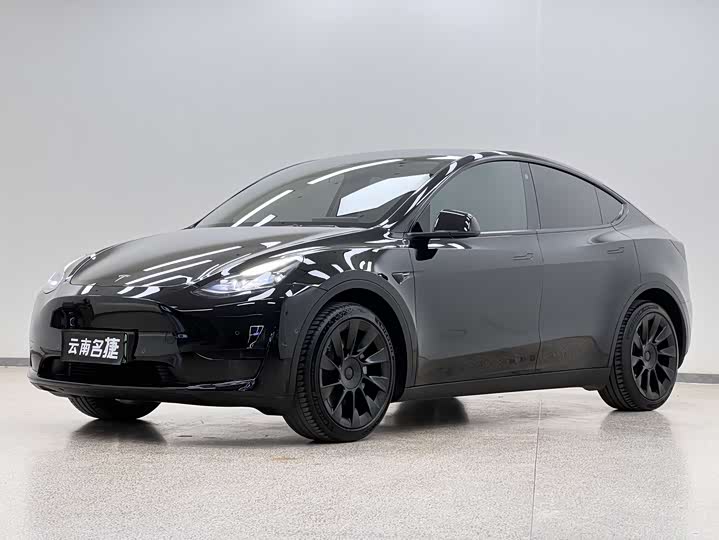 Фото 1 - Tesla Model Y