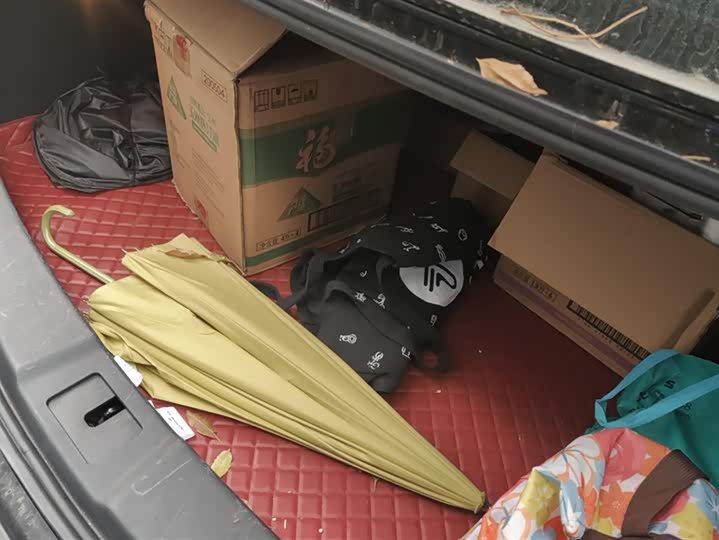 Фото 4 - Hongqi E-QM5