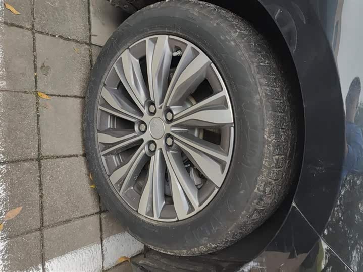 Фото 6 - Hongqi E-QM5