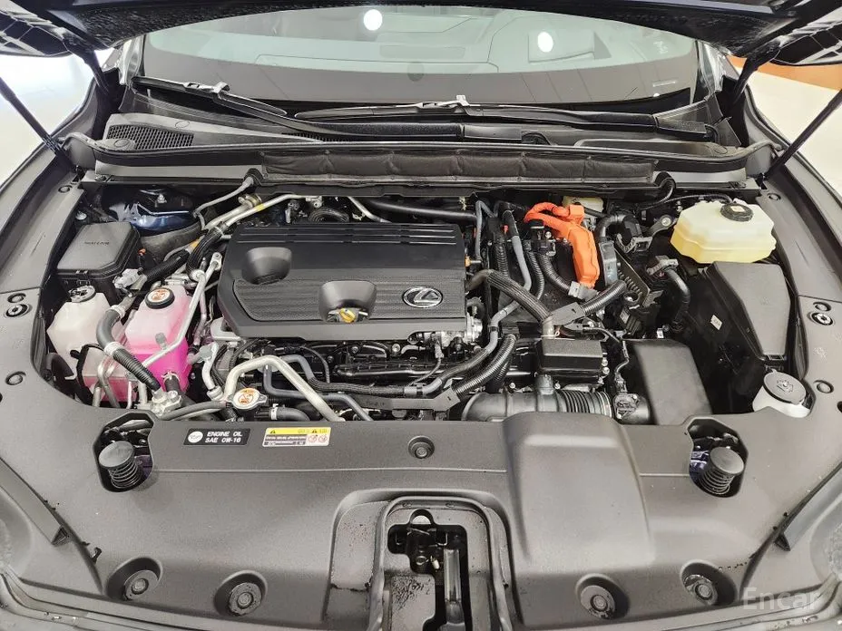 Фото 7 - Lexus RX