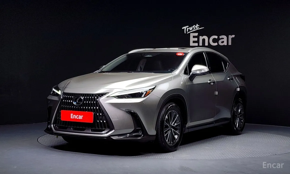 Фото 1 - Lexus NX