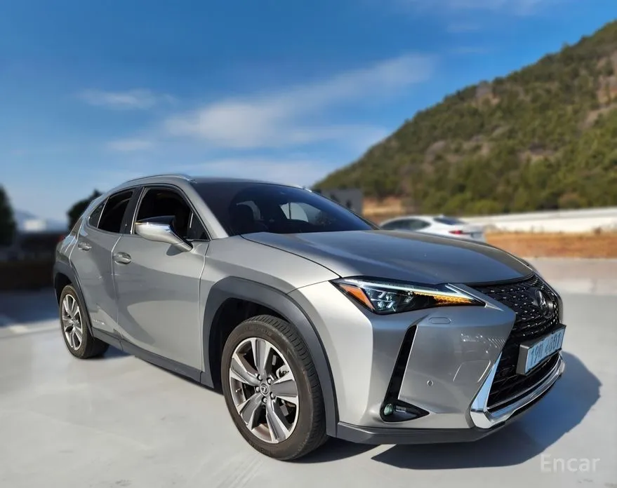 Фото 1 - Lexus UX