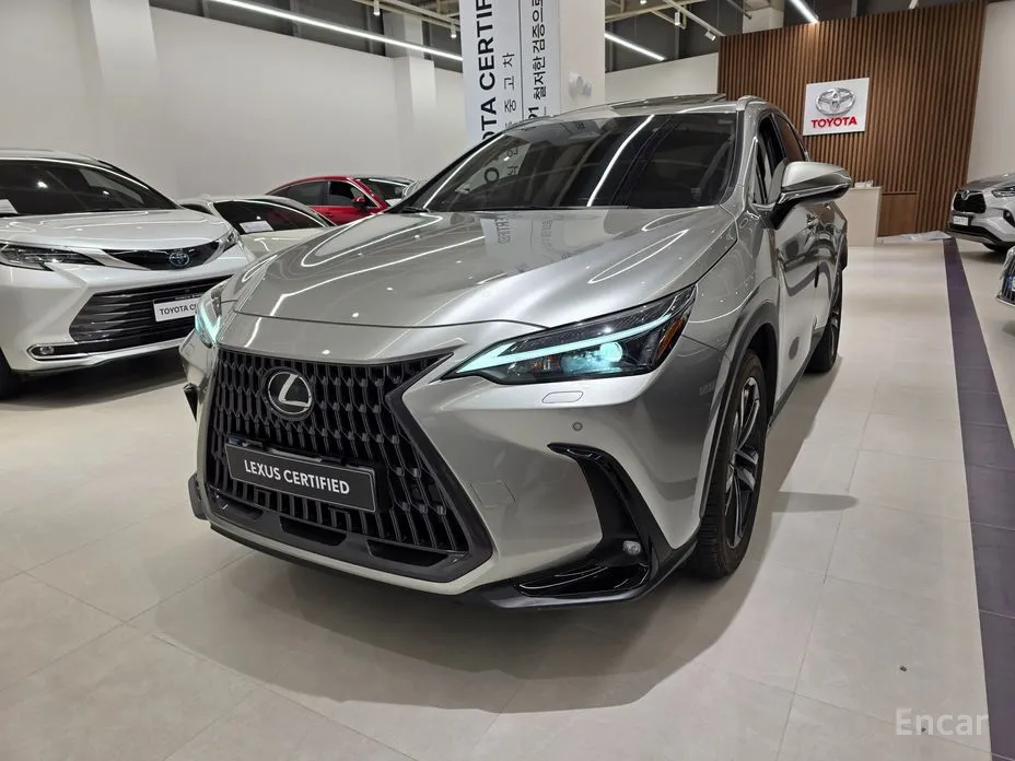 Фото 1 - Lexus NX