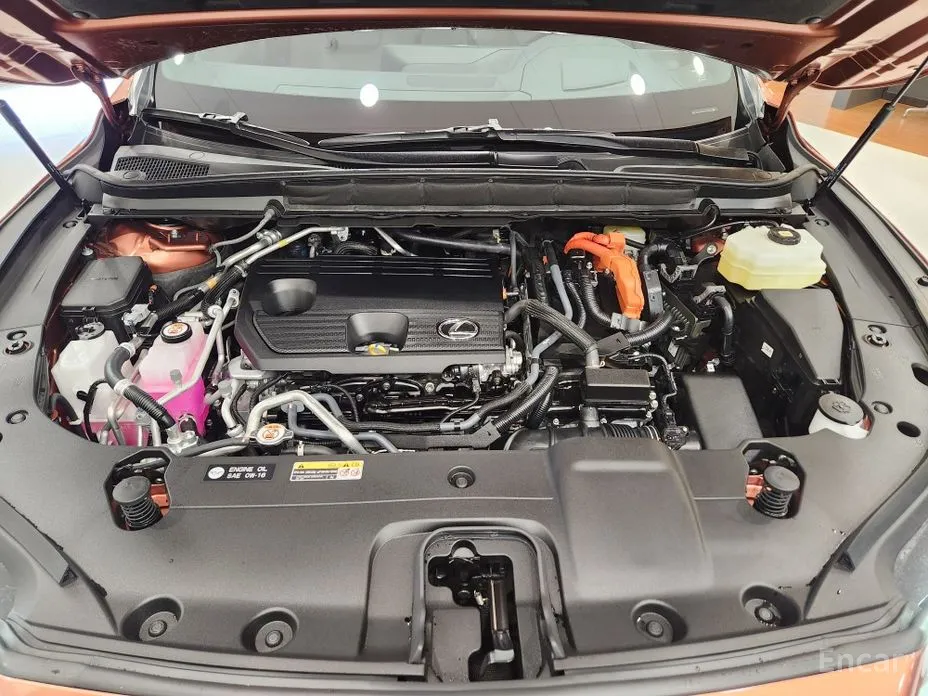 Фото 7 - Lexus RX