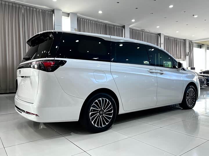 Фото 4 - Buick GL8 Hybrid