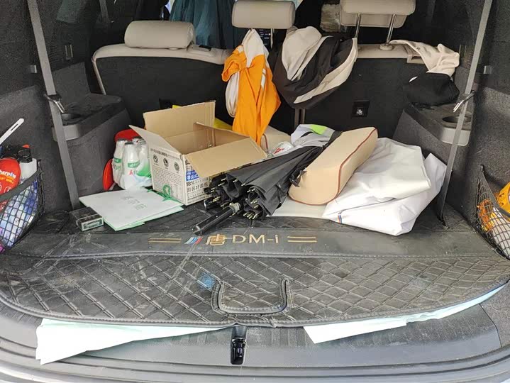 Фото 4 - BYD Tang Hybrid/EV