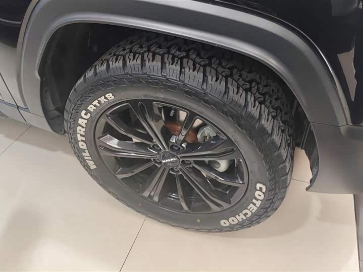 Фото 6 - Haval Raptor Hybrid