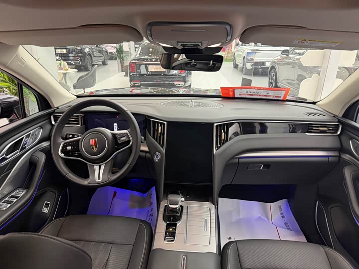 Фото 5 - Hongqi HS7 Hybrid