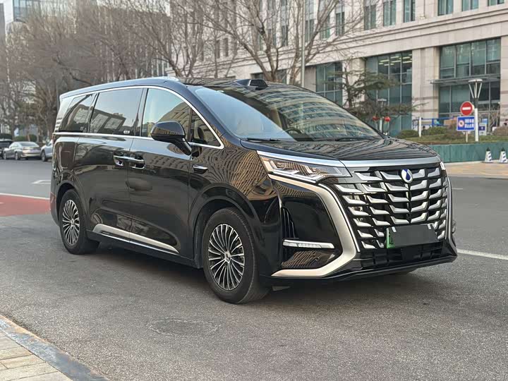 Фото 3 - Denza D9