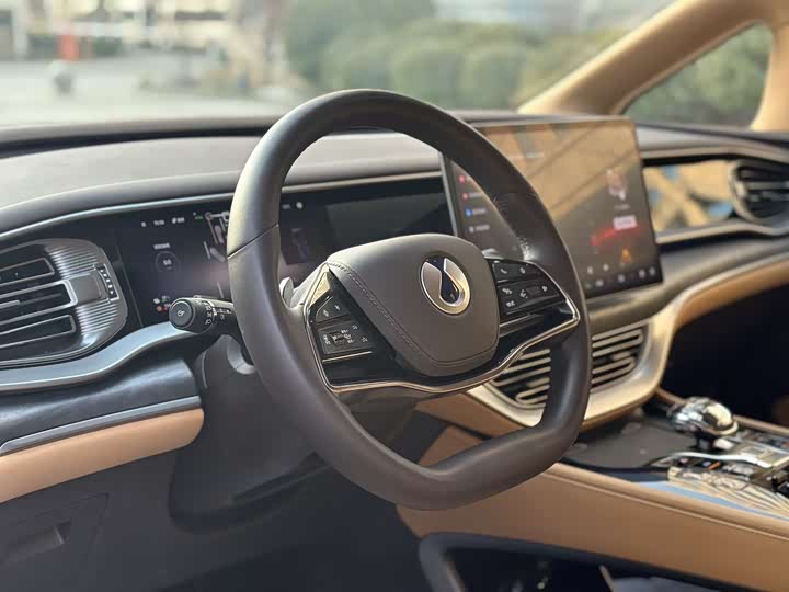 Фото 4 - Denza D9