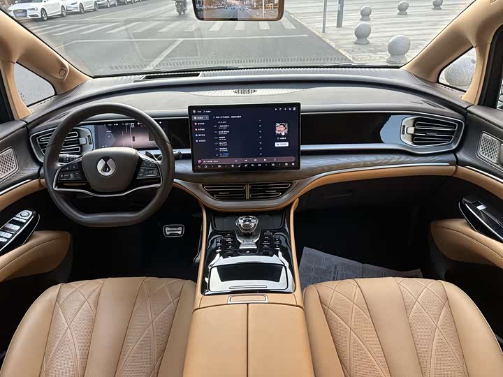 Фото 9 - Denza D9