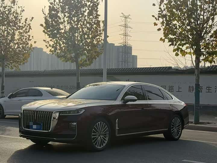 Фото 1 - Hongqi H9