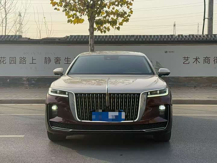 Фото 2 - Hongqi H9