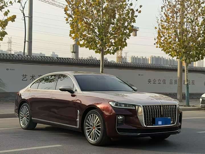 Фото 3 - Hongqi H9