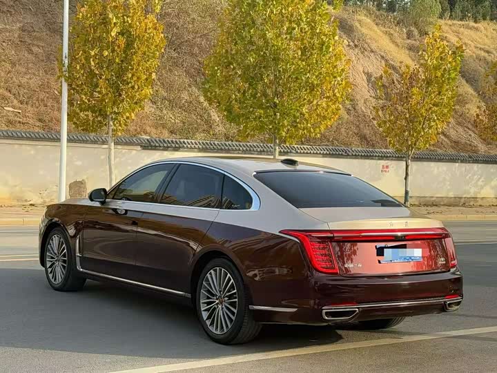 Фото 7 - Hongqi H9