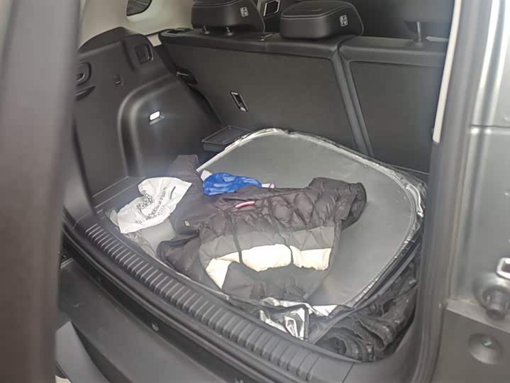 Фото 4 - BYD FangChengBao Titanium 3 (Tai 3)