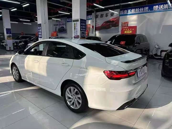 Фото 4 - Geely Binrui