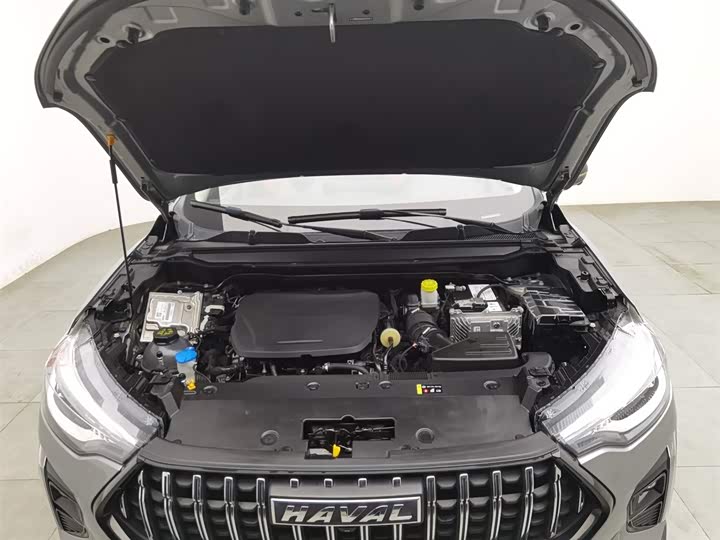 Фото 6 - Haval Chitu