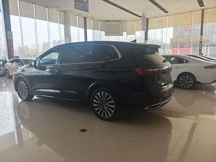 Фото 6 - Volkswagen Viloran