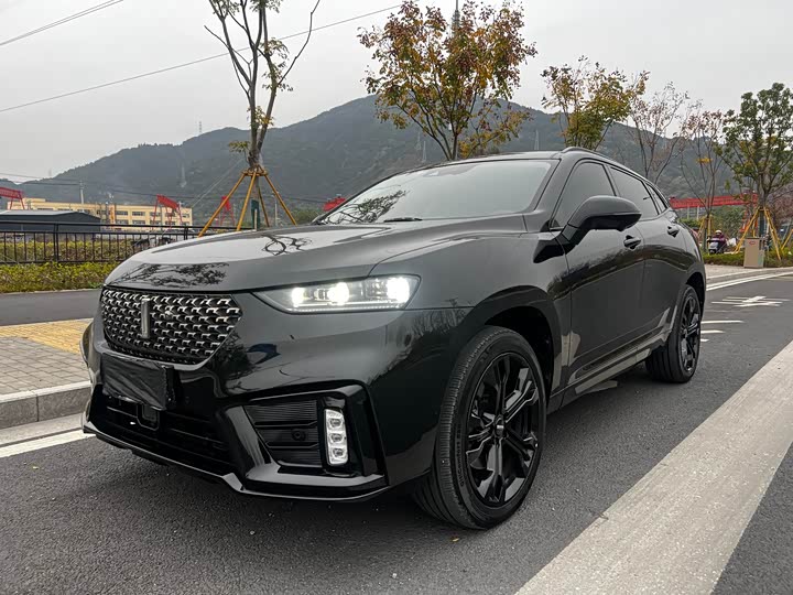 Фото 1 - Wey VV7