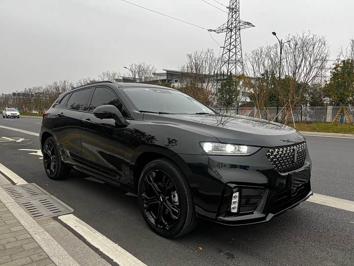 Фото 3 - Wey VV7