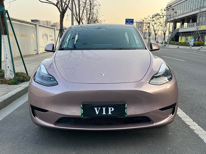 Фото 2 - Tesla Model Y