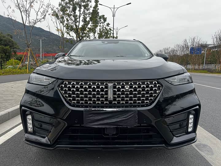 Фото 2 - Wey VV7