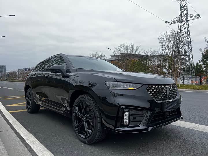 Фото 3 - Wey VV7