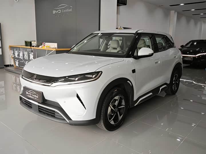 Фото 1 - BYD Yuan Up