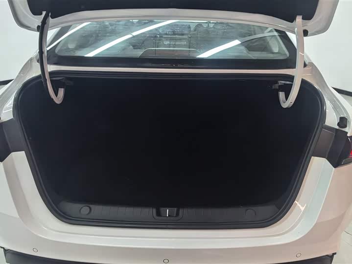 Фото 4 - Geely Binrui