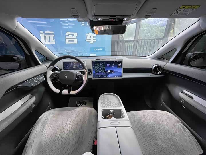 Фото 9 - BAIC Arcfox Kaola