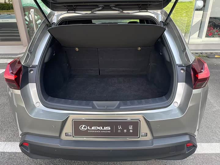 Фото 8 - Lexus UX Hybrid