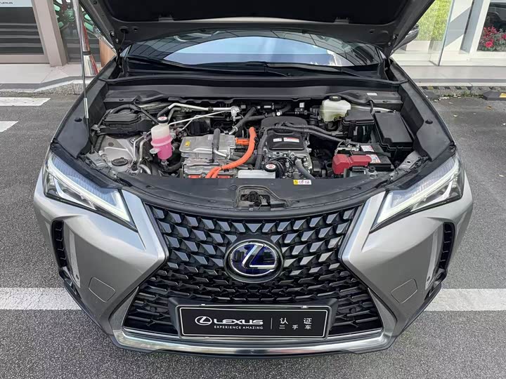 Фото 9 - Lexus UX Hybrid