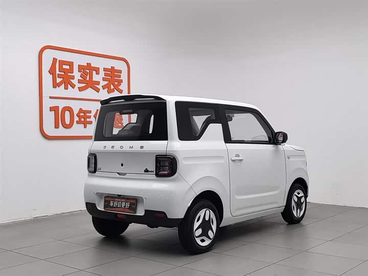 Фото 2 - Geely Galaxy Panda Mini