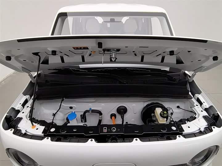 Фото 6 - Geely Galaxy Panda Mini