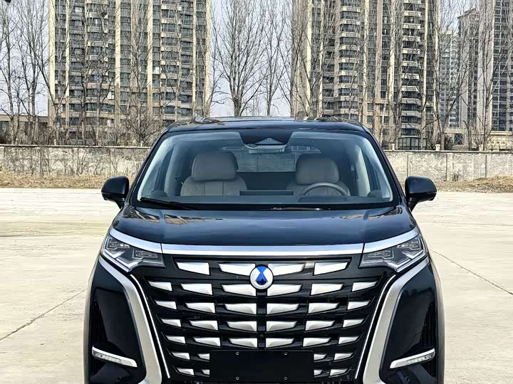 Фото 3 - Denza D9