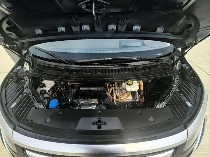 Фото 9 - Denza D9