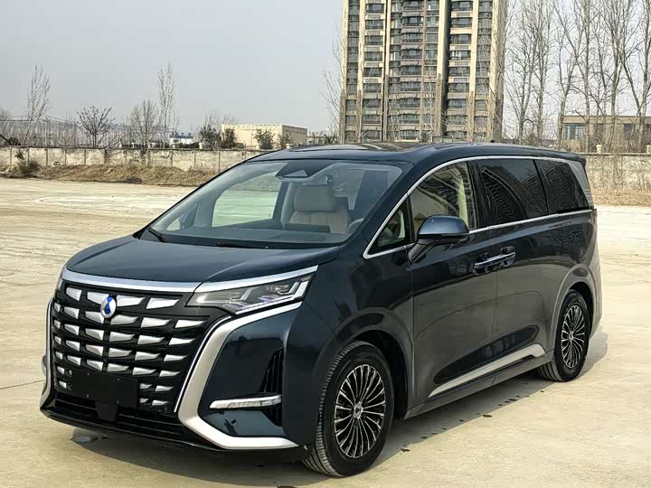 Фото 1 - Denza D9