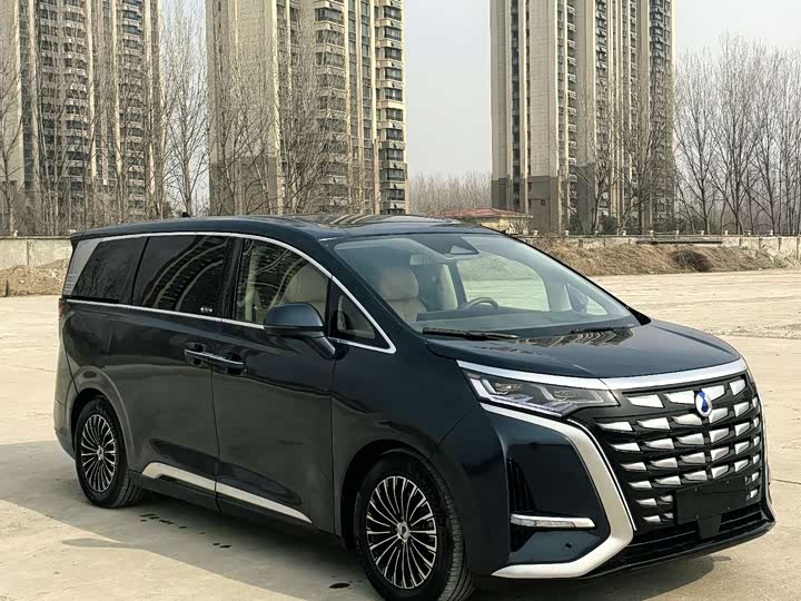 Фото 2 - Denza D9