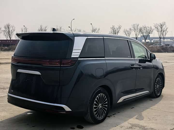 Фото 4 - Denza D9