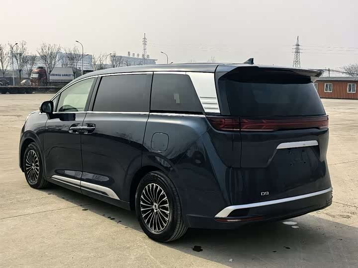 Фото 5 - Denza D9