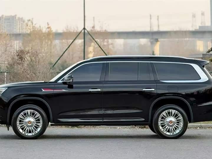 Фото 9 - Hongqi LS7 (Guoyao)