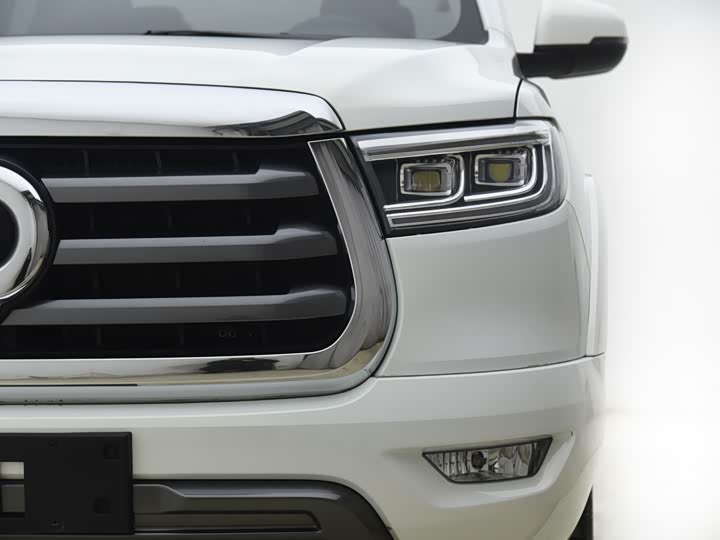 Фото 3 - Great Wall Pao