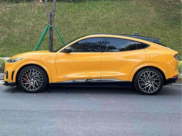 Фото 2 - Ford Mustang Mach-E