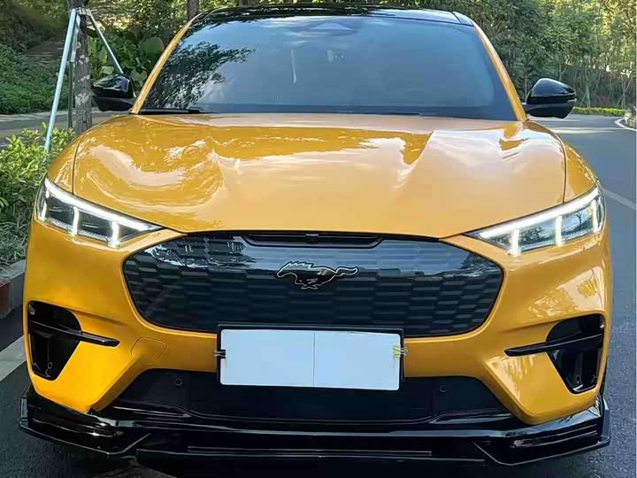 Фото 3 - Ford Mustang Mach-E